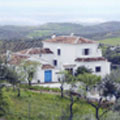 Copy of DSCN0442.JPG