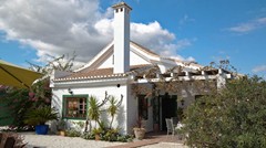 Costa_del_Sol_Immobilien_0305-1.jpg