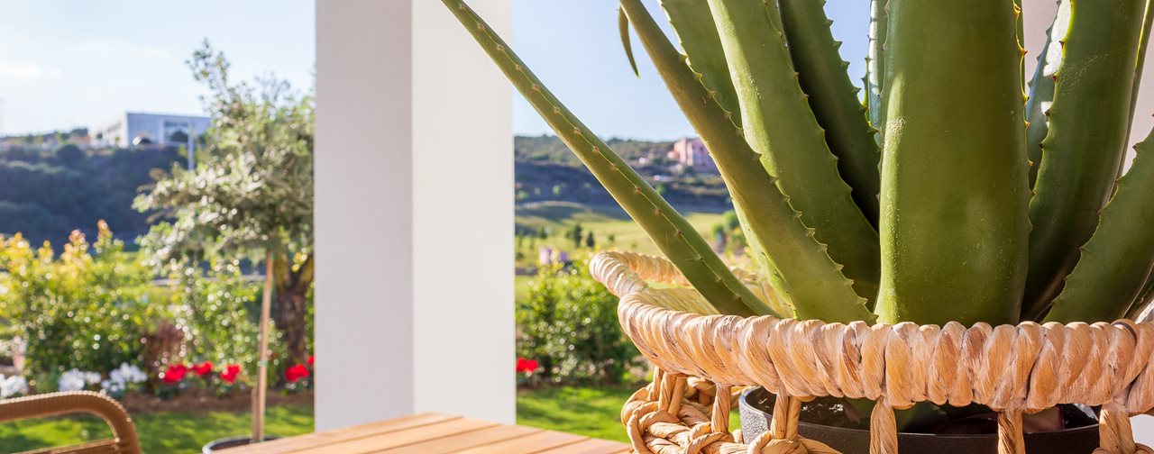 1343 Immobilien Estepona-41