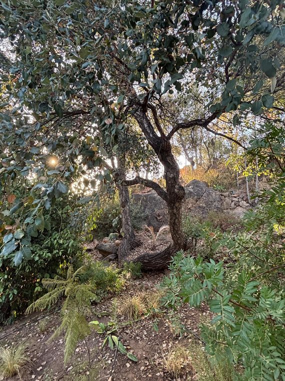 B98Le8~d7M9k3DegpEFZhS0lI_F8U4XZVz~HWxt~mGgYekxX9nCAxh0ZipZlAjNxEM6s1ur~IyRoHk21zVXx39XWT2D9Fp85DjEhd0Wkw~KufjjHwMWpId7O0C1N3yTR2X041Lcm26s0rntm~9PE image