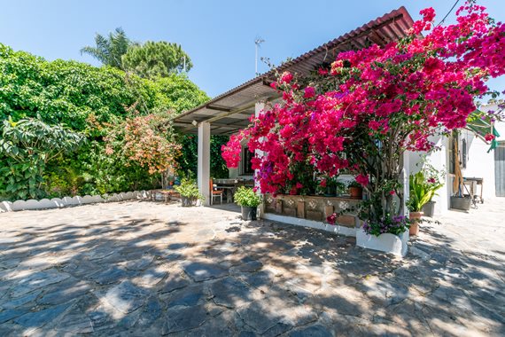 B98Le8~d7M9k3DegpEFZhS0lI_F8U4XZVz~HWxt~mGgYekxX9nCAxh0ZipZlAjNxEM6s1ur~IyRoHk21zVXx39XWT2SphP0ASNb4ziKP87gn8VOomybp_x3Ofk4sS6Nu0xrLaG~yQHpriCuLvosx image