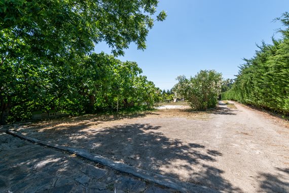 B98Le8~d7M9k3DegpEFZhS0lI_F8U4XZVz~HWxt~mGgYekxX9nCAxh0ZipZlAjNxEM6s1ur~IyRoHk21zVXx39XWT2SphP1WKg8GsjdLEpNClTekyXBmHJtJWyd7v16OZt48Zuf26VaCQucfsHo2 image