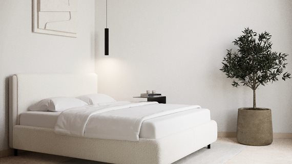 Bougainvillea_22 image