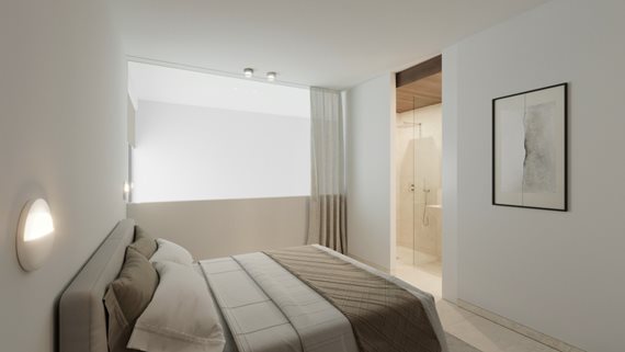 Bougainvillea_26 image