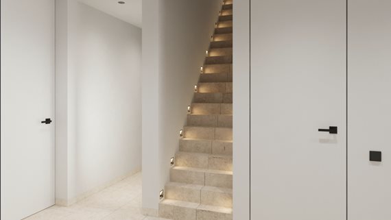 Bougainvillea_29 image