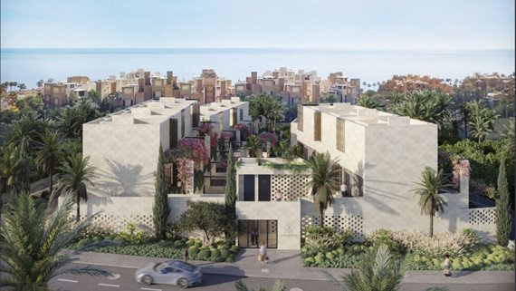 Bougainvillea_32 image